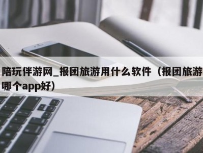 陪玩伴游网_报团旅游用什么软件（报团旅游哪个app好）