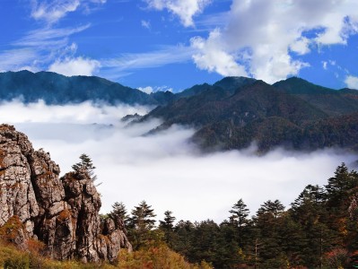 长沙神农架：秘境之旅，云海奇观，草原牧歌，探寻世外桃源